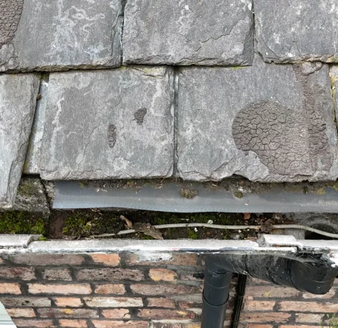 Damp and Mould