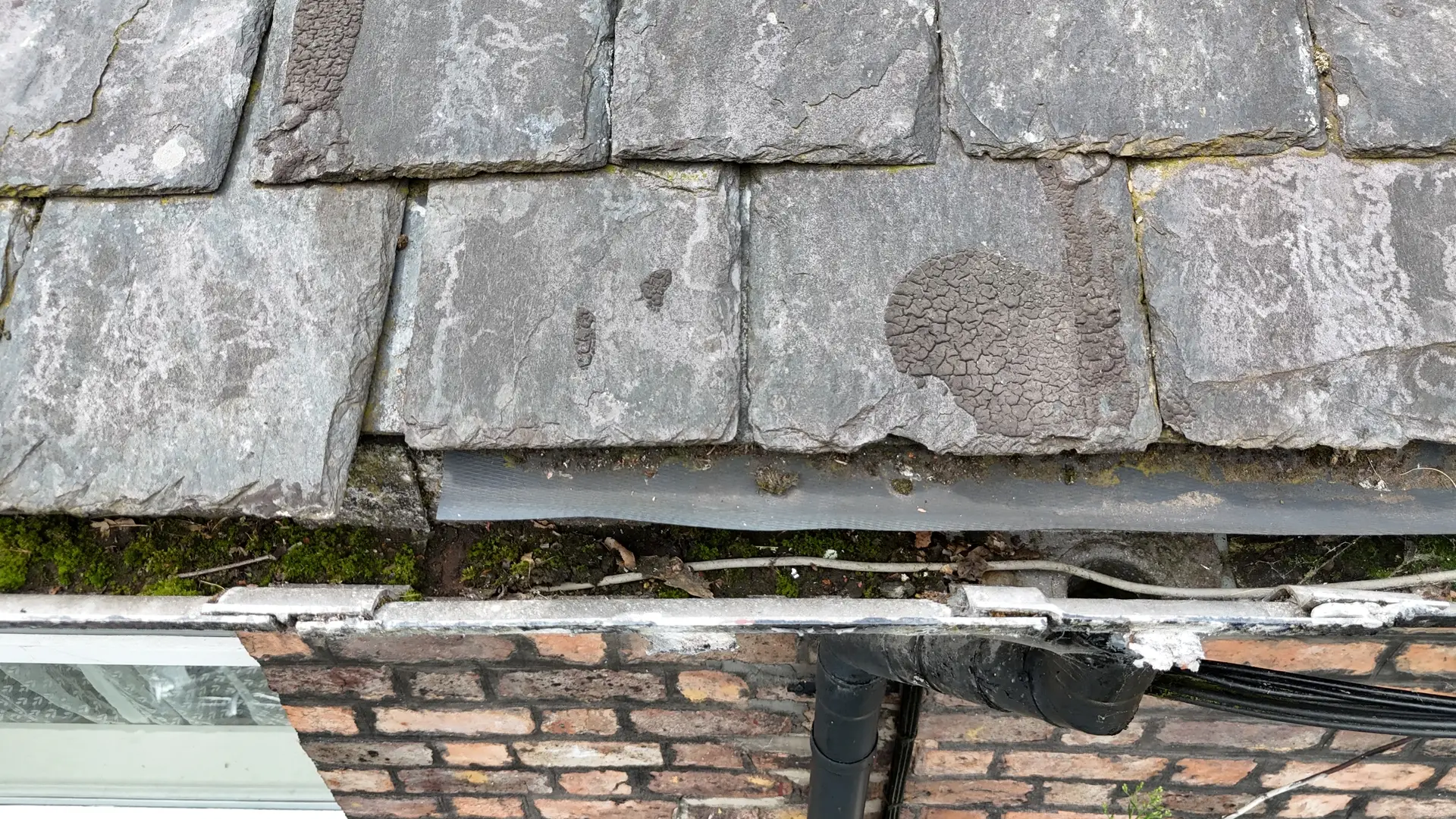 Damp and Mould