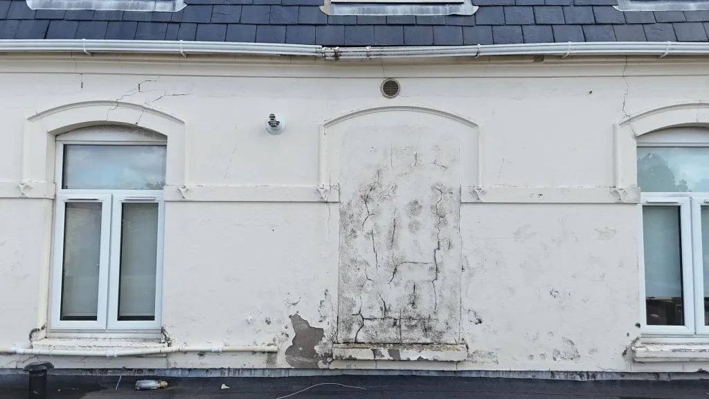 Building surveys