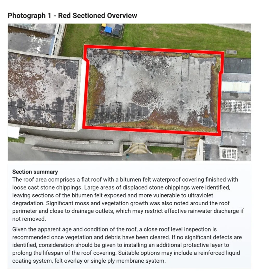 Report page showing the red roof section S01 with a written section summary